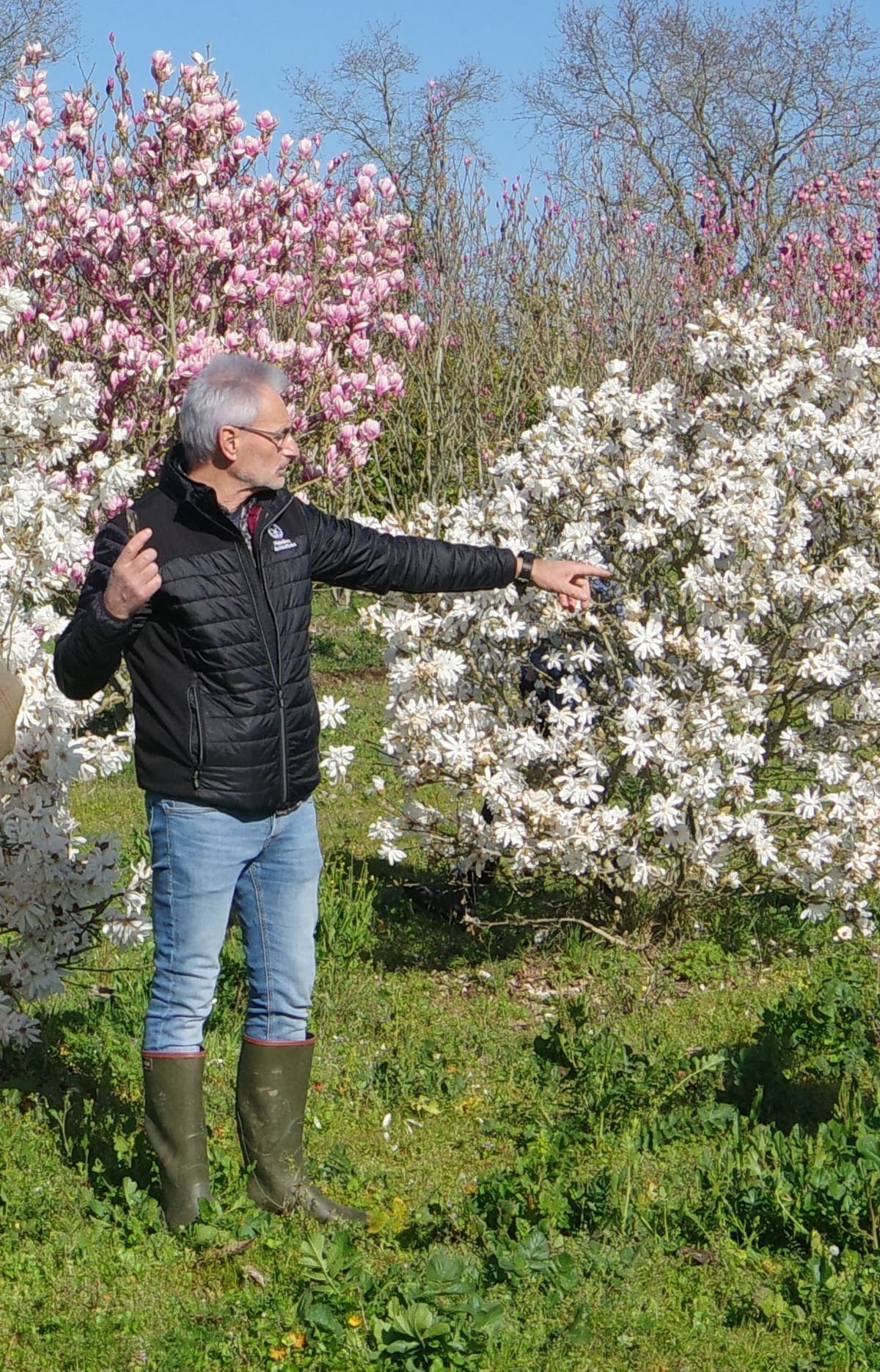 Un Gardien du réseau CCVS présentant ses magnolias en pépinière